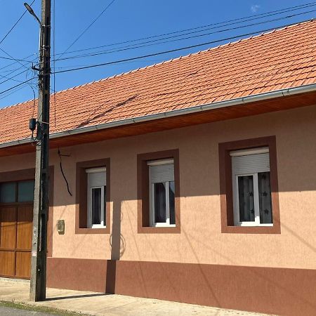 Pensiunea La Nety Bozovici Экстерьер фото