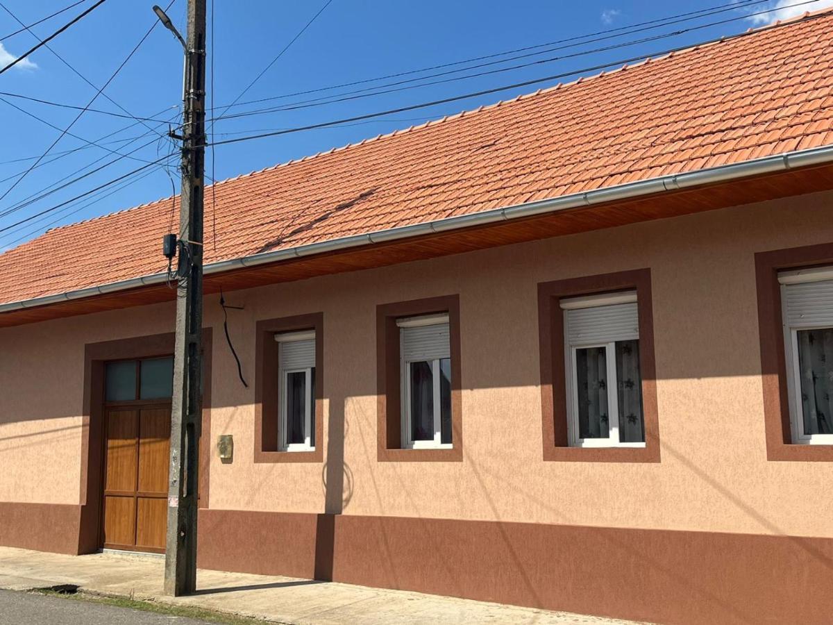 Pensiunea La Nety Bozovici Экстерьер фото