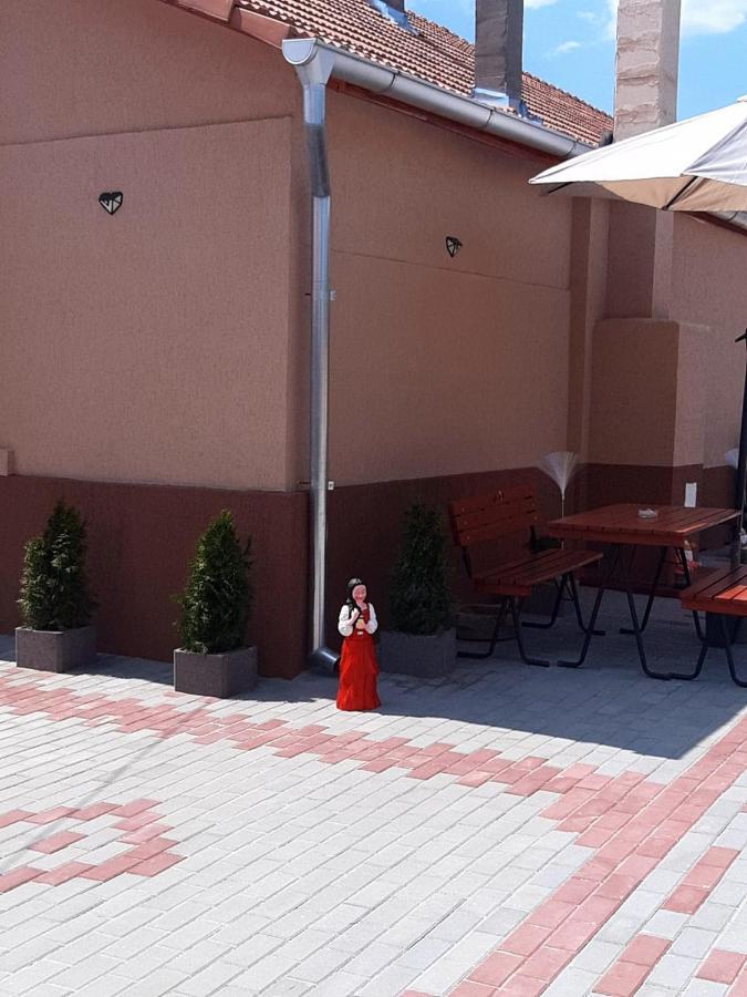 Pensiunea La Nety Bozovici Экстерьер фото